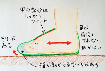 ベビーシューズの選び方 足ゆびの動きから見る つま先の形状編